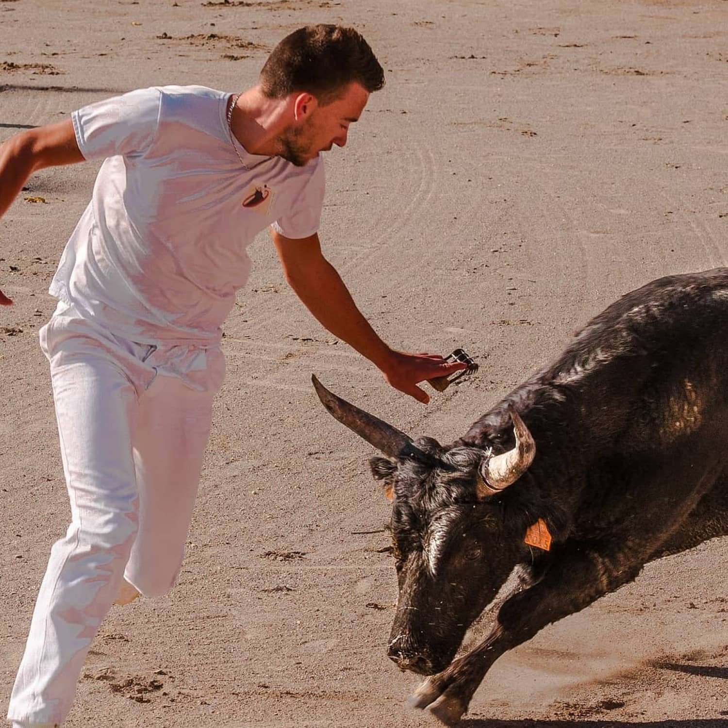 Pantalons raseteurs course camarguaise - Vincent et Mireille