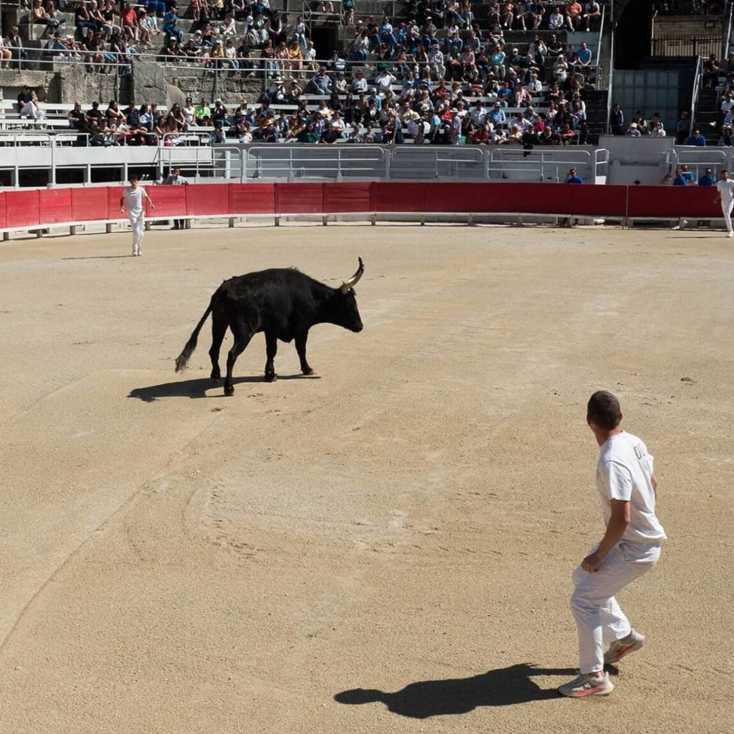 Bottom of Vincent et Mireille gardian pants